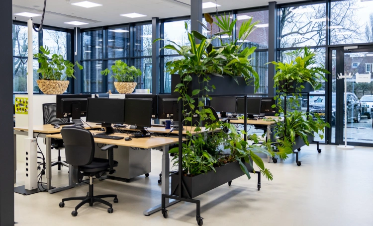 Kantoor beplanting